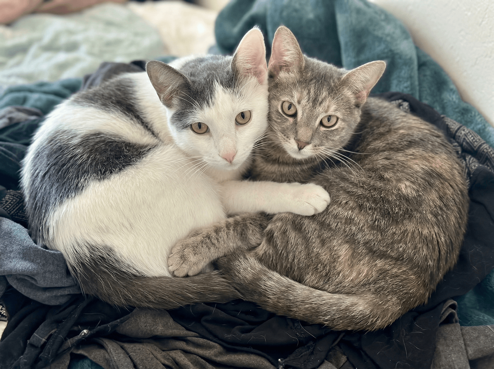 Ellie and Teddy