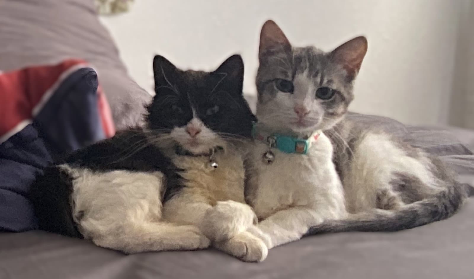 Cletus and Myrtle