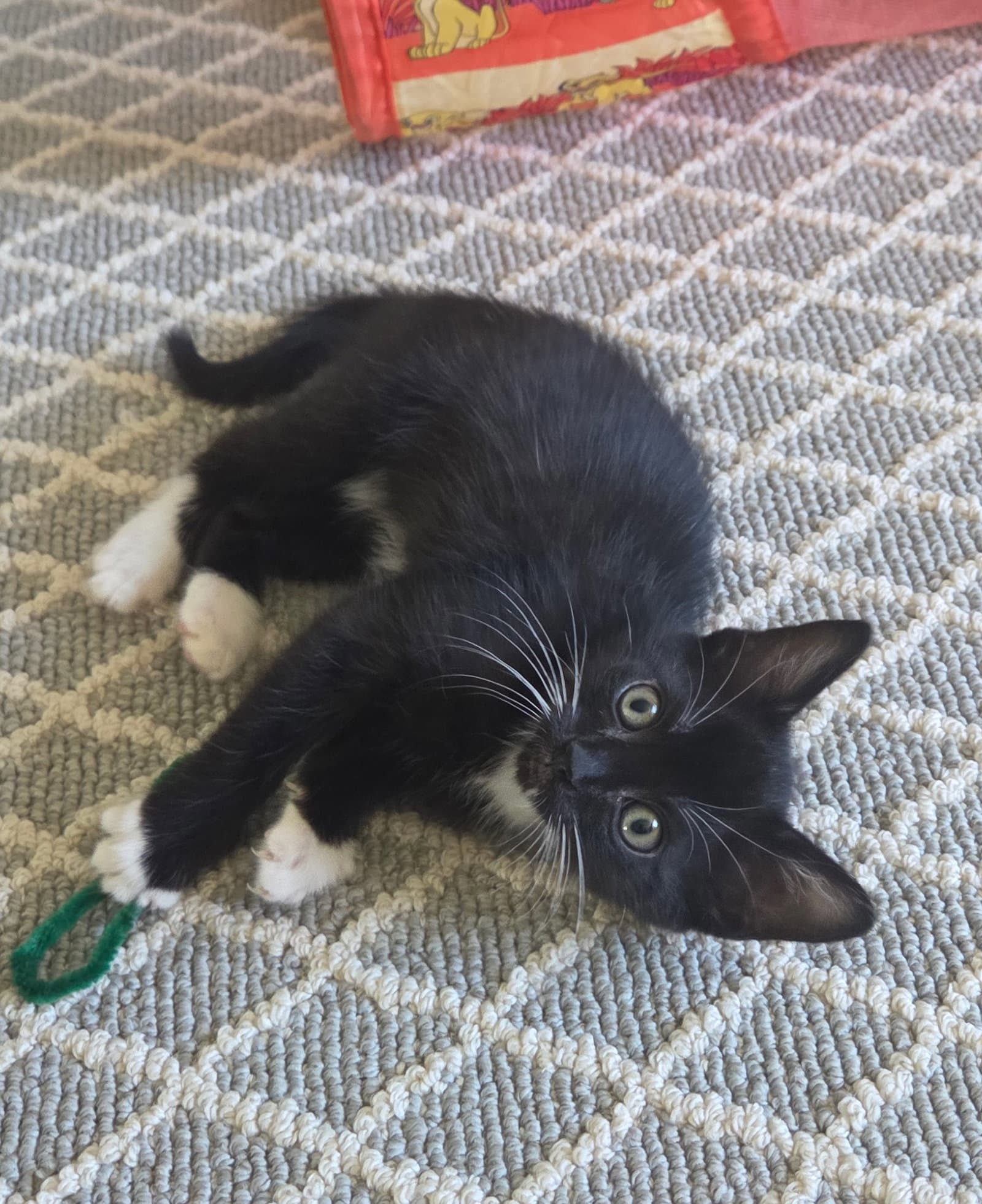 Tux