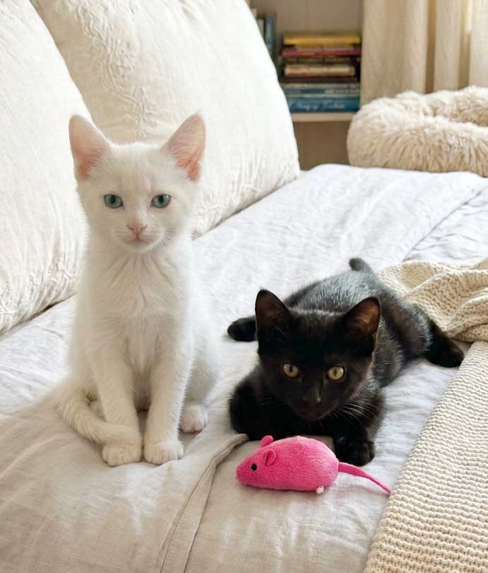 Olive and Finn