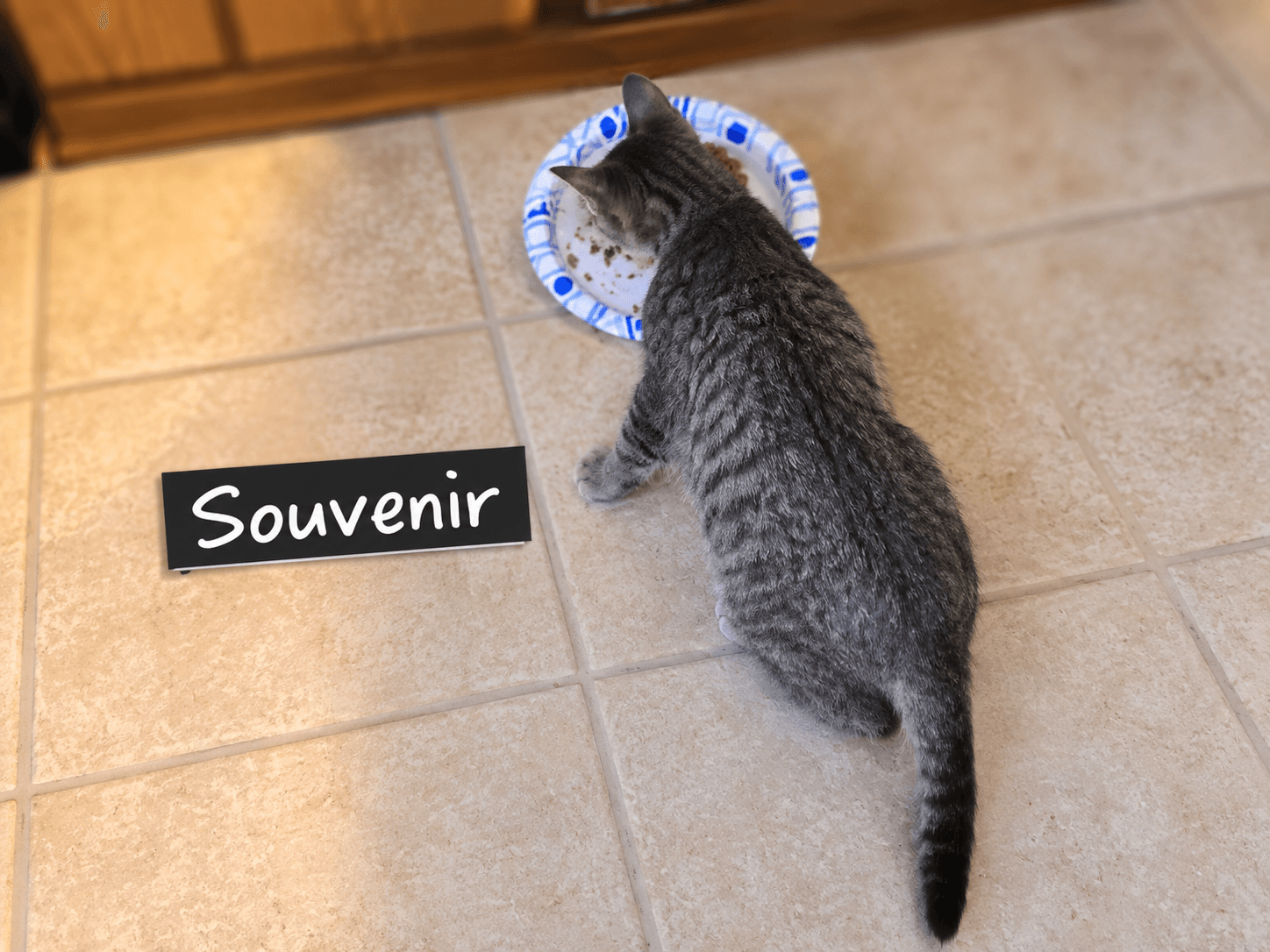 Souvenir - Not at the Shelter (Shannon)