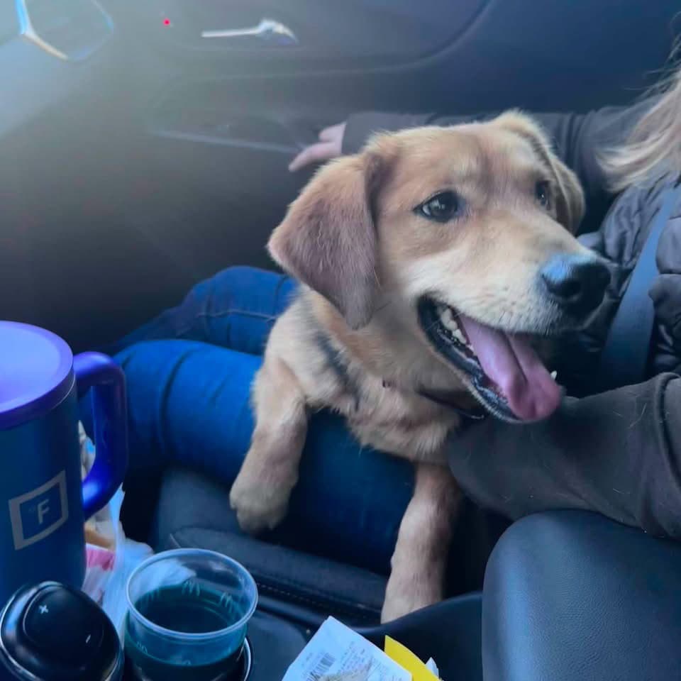 Buddy: Not at shelter (with his family)