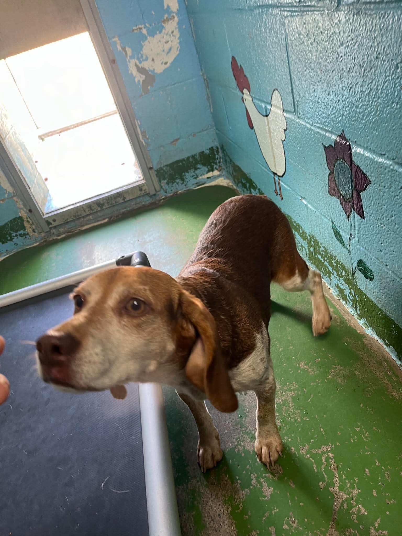 Plum - At shelter available 10/8
