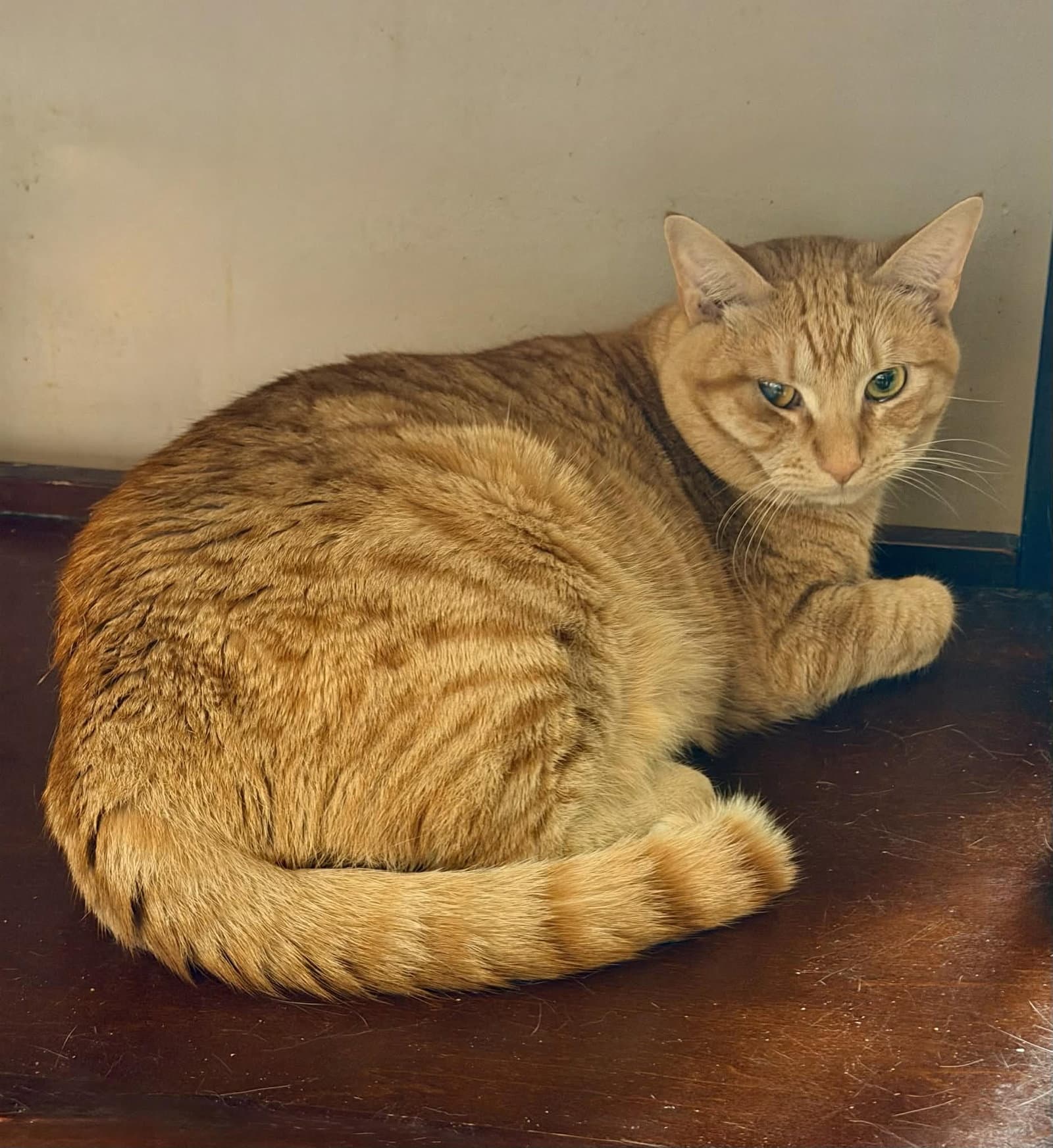 Redd