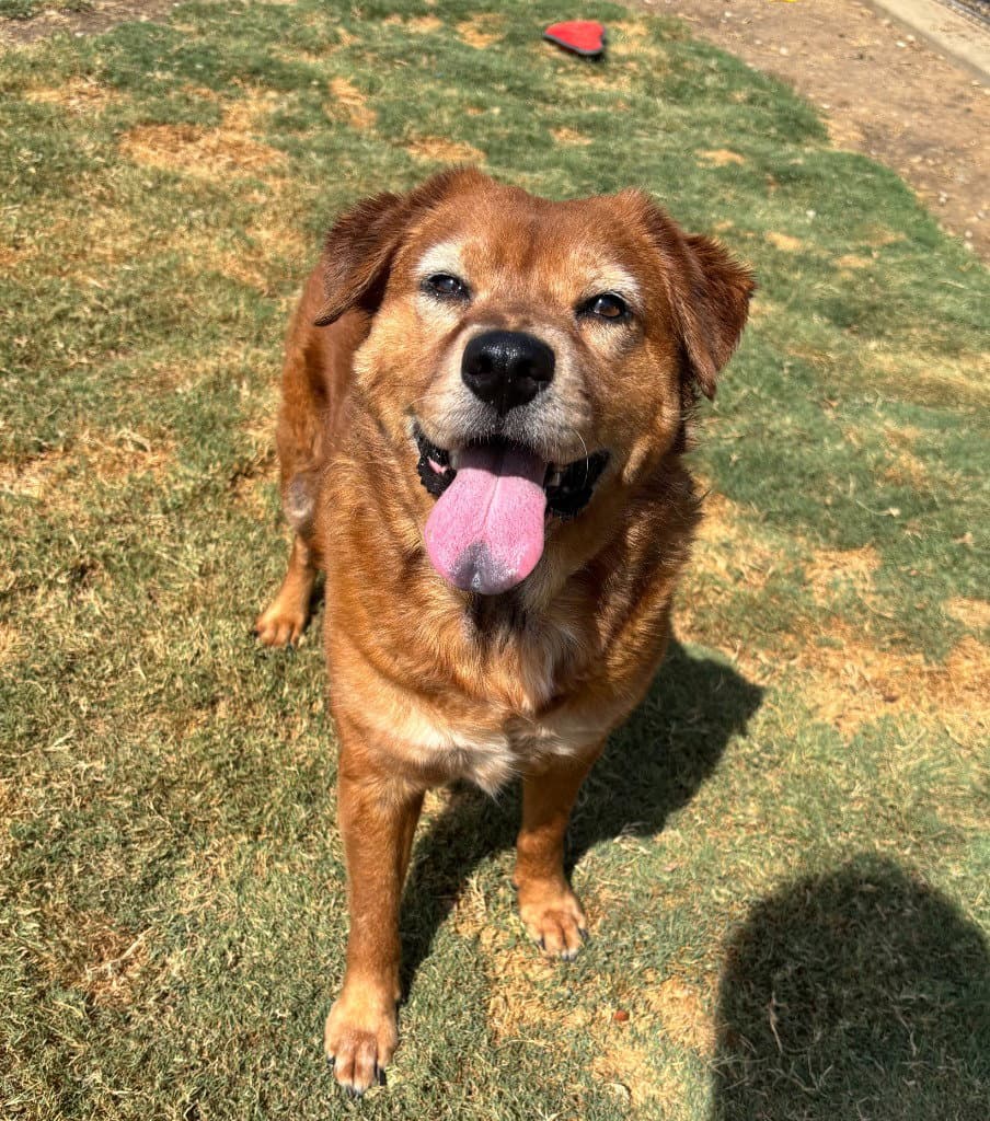 Sadie
