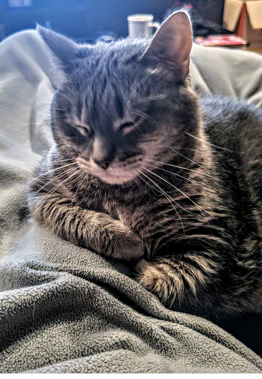 Meredith Grey (Mar-Bear)