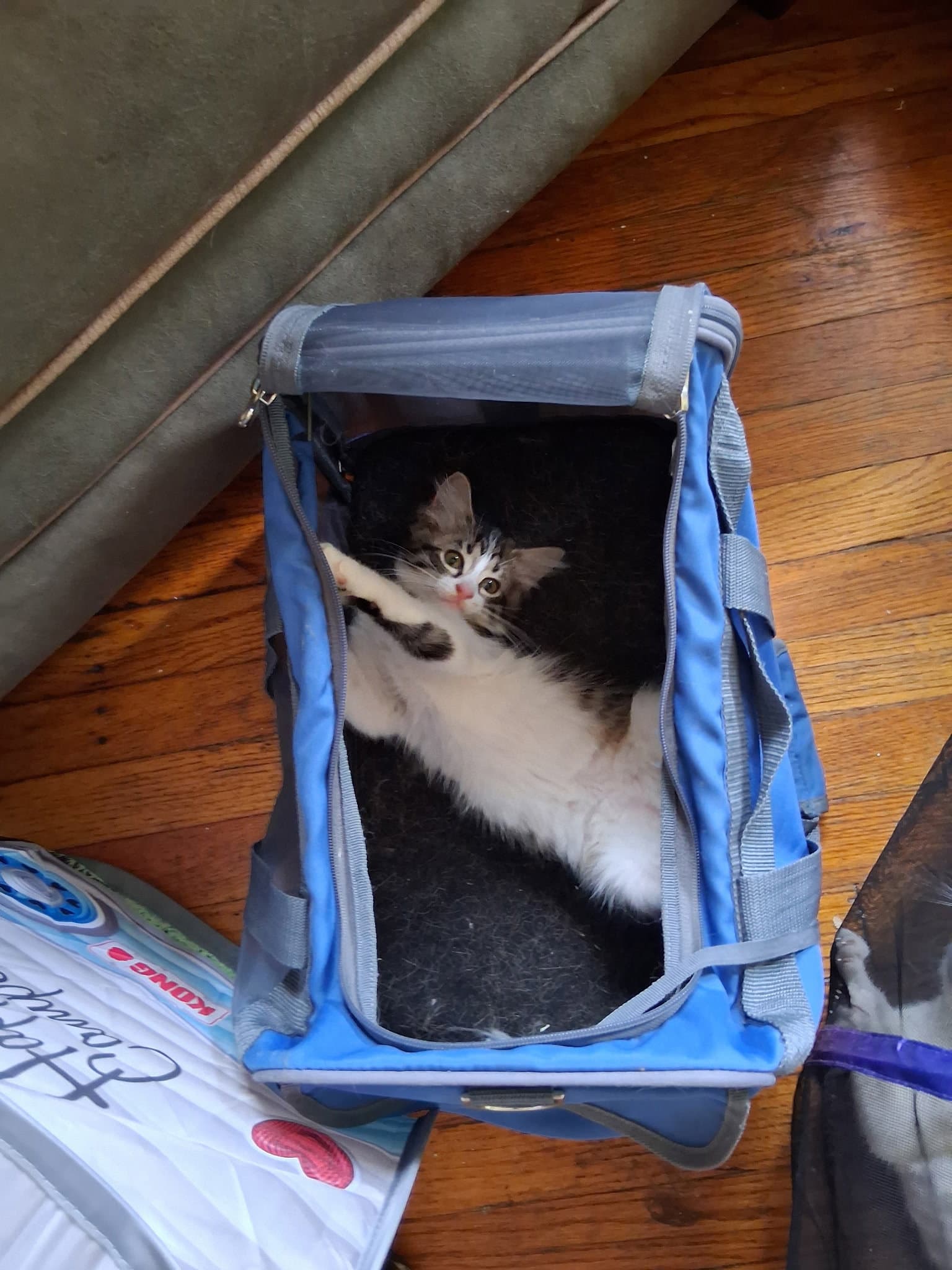 C324 Litter Gizmo