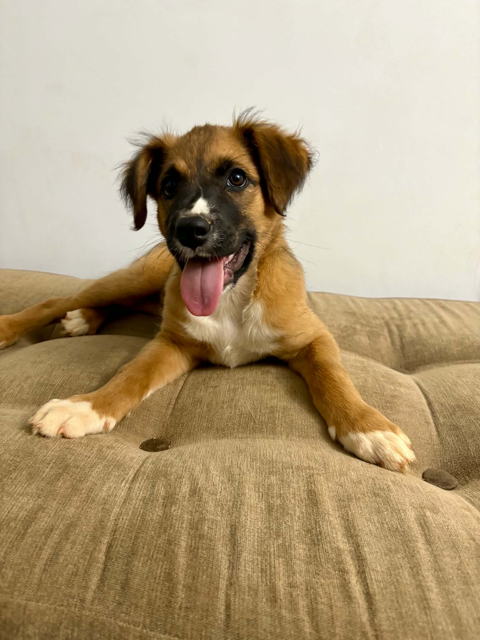 Sophia