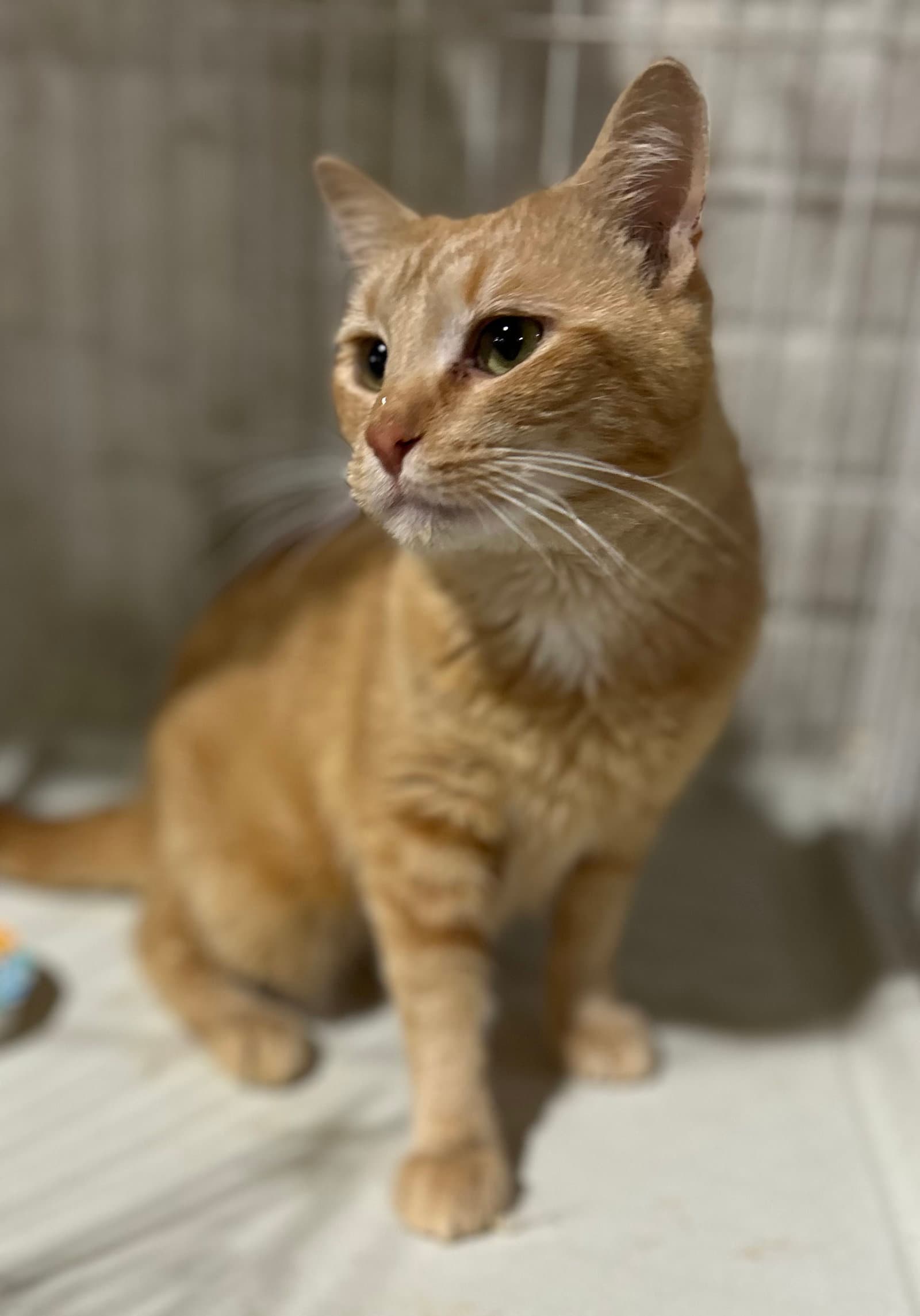 Ethel