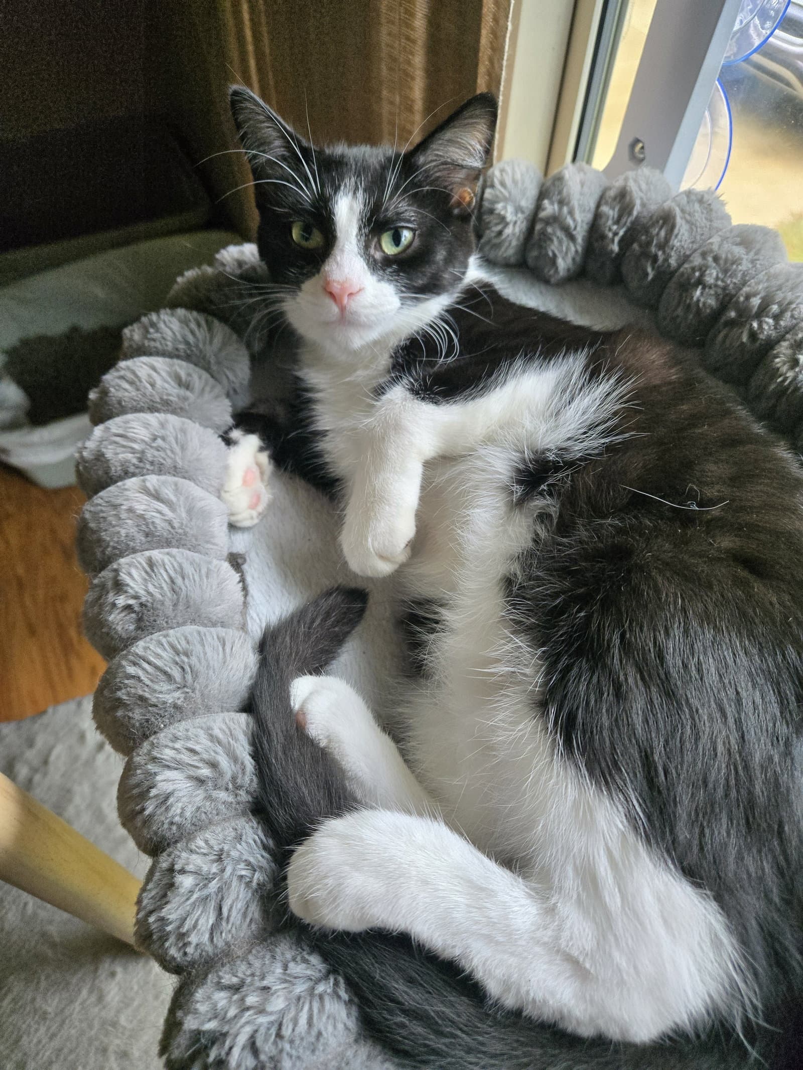 Viktor