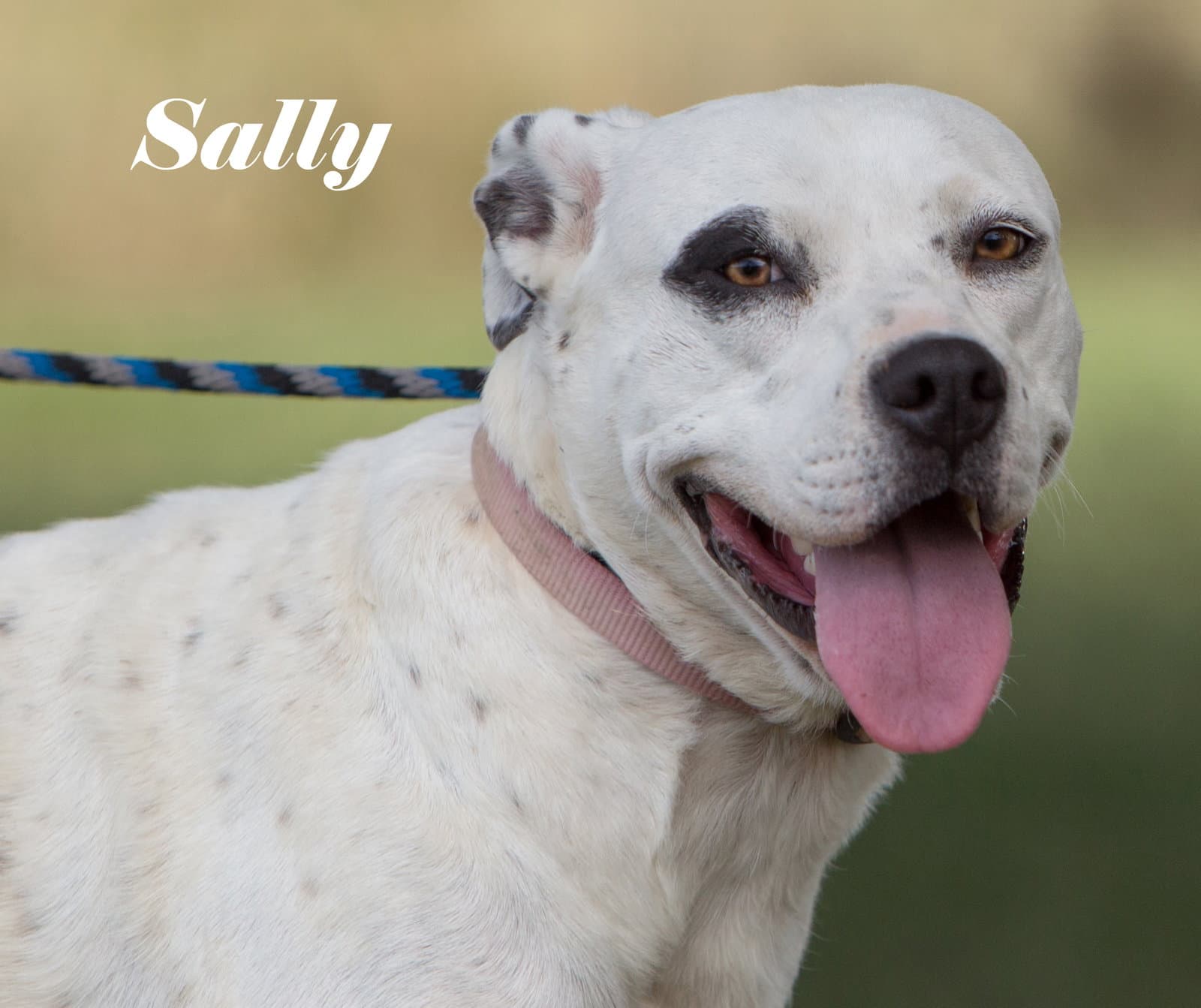 Sally