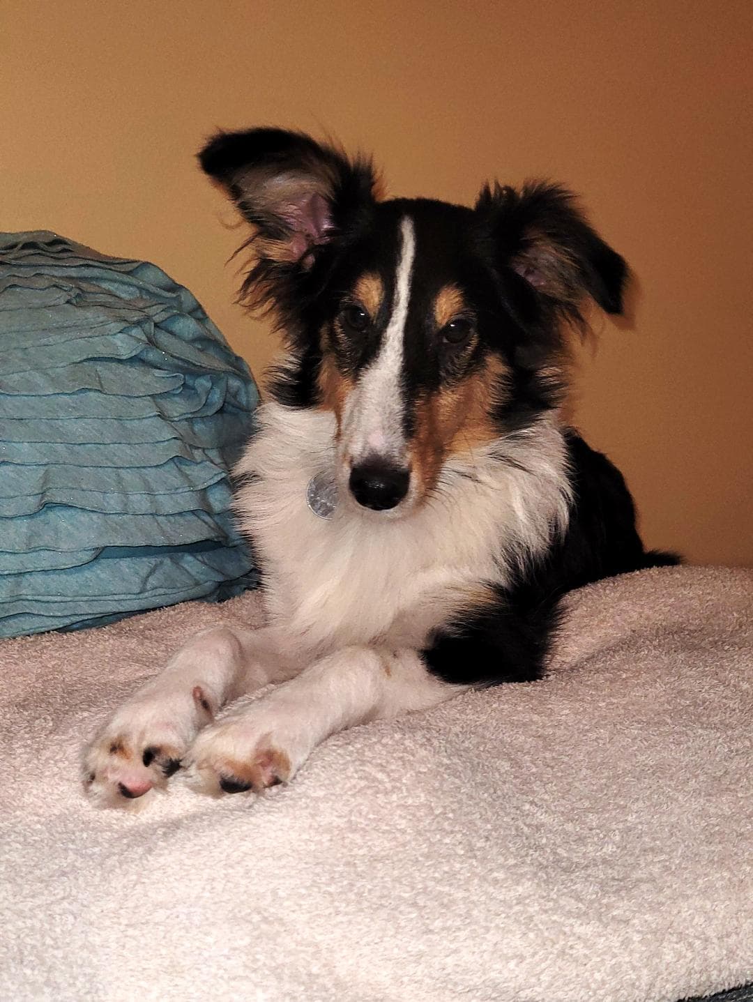 Linus