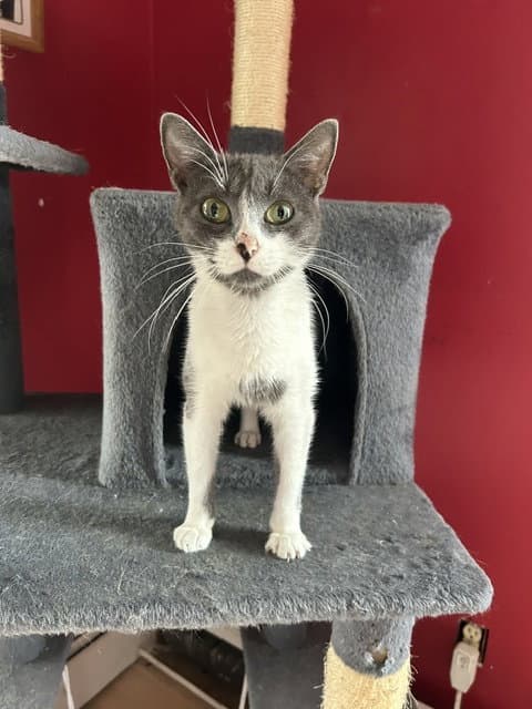 Mia