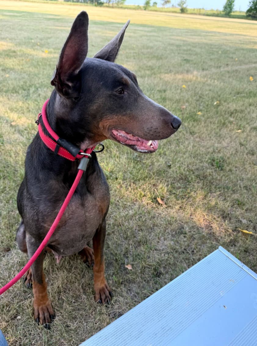 Maggie