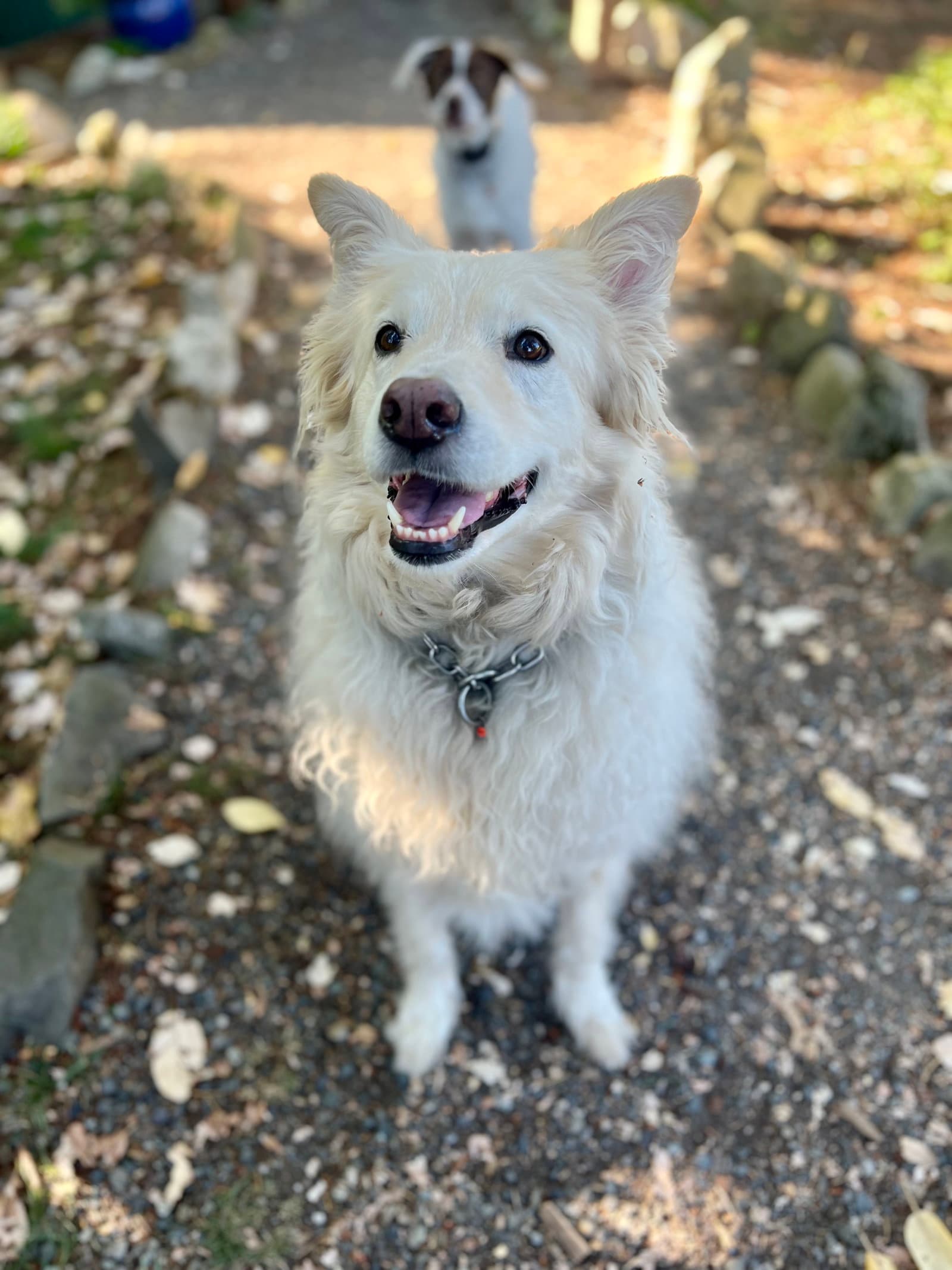 Louie the Great