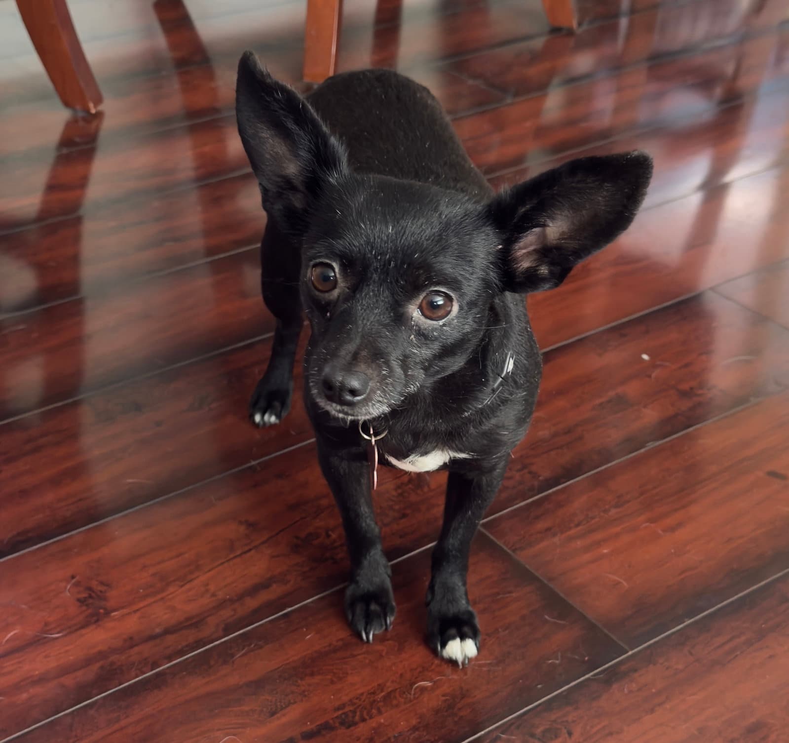 Chili