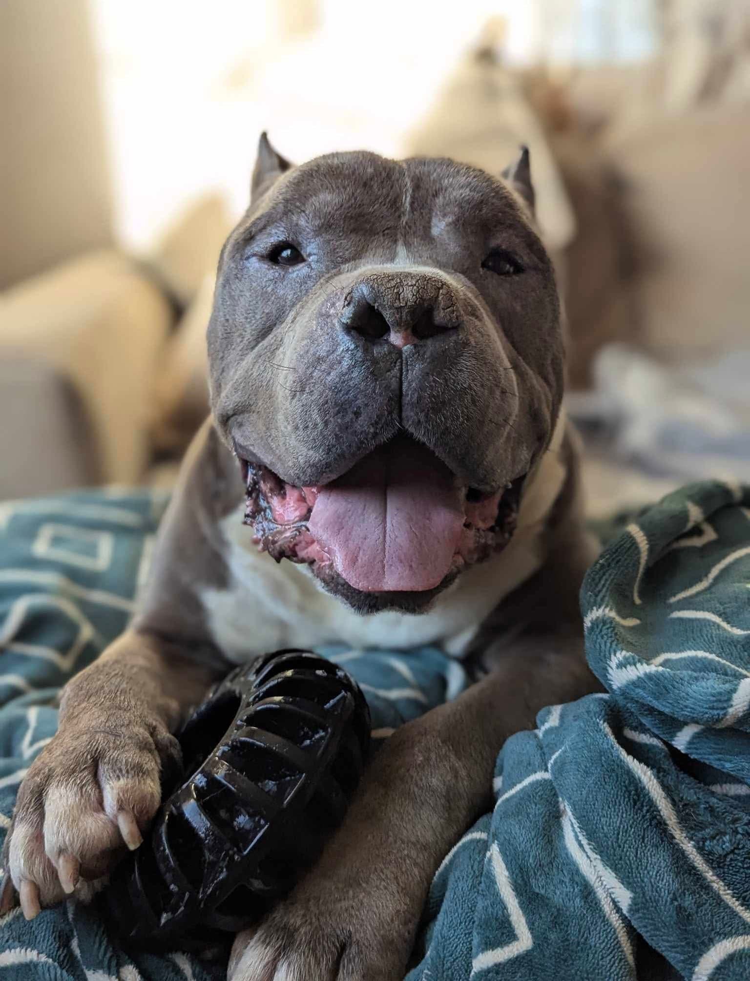Dustin