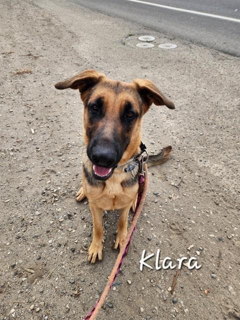 Klara