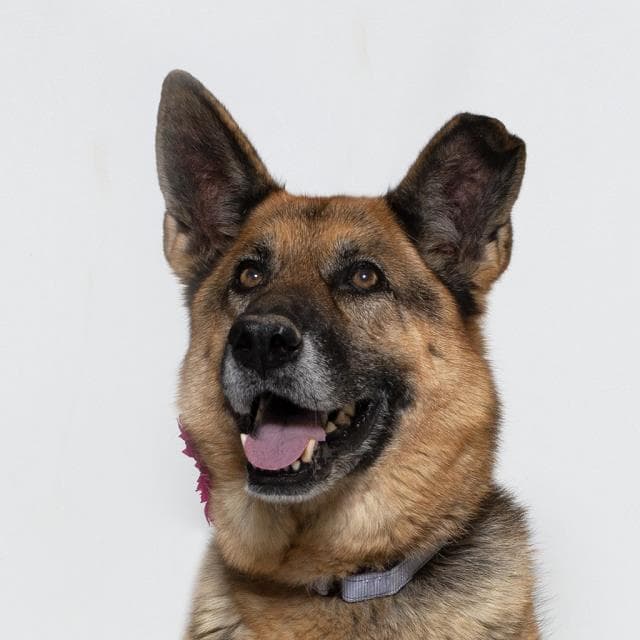 Kona