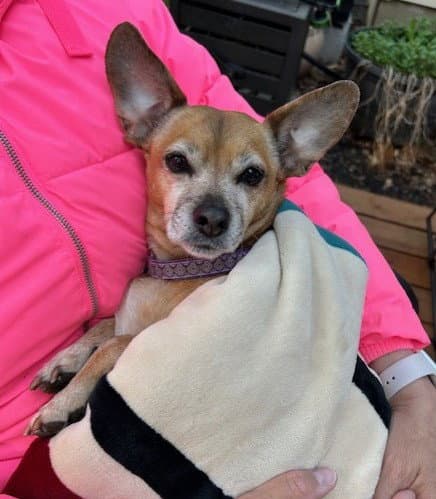 Lily Nason NJ
