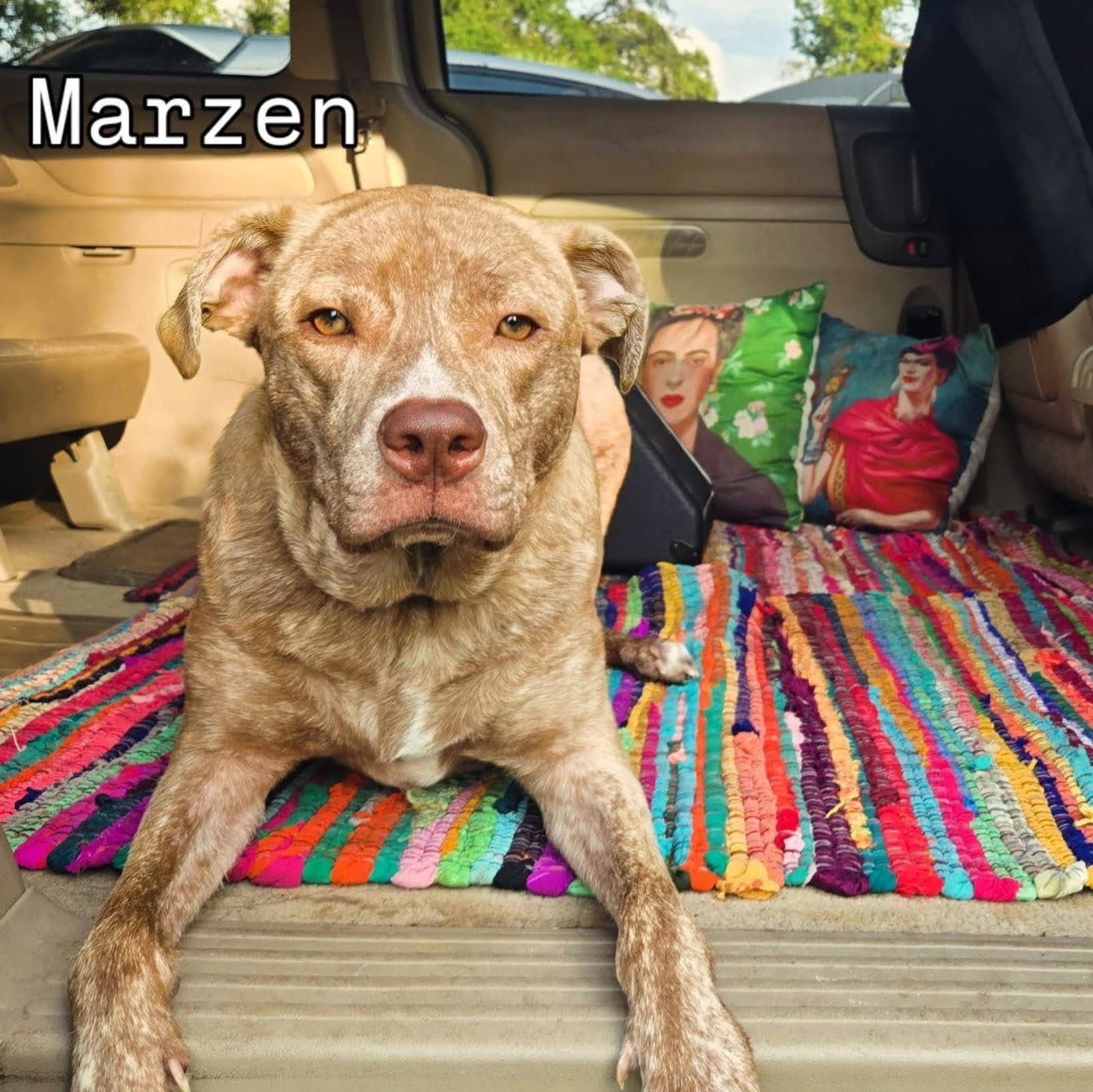 Marzen