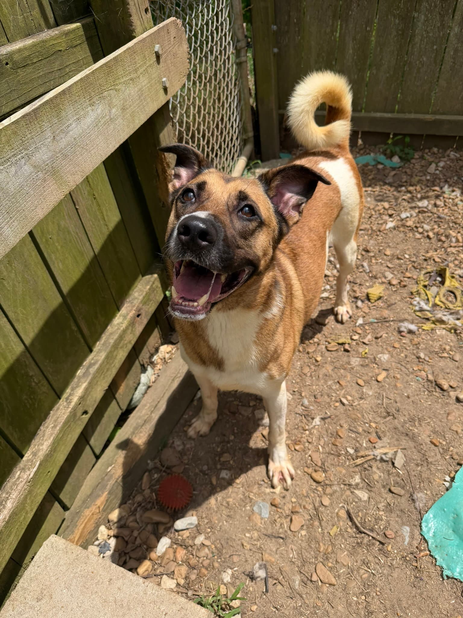 Duke