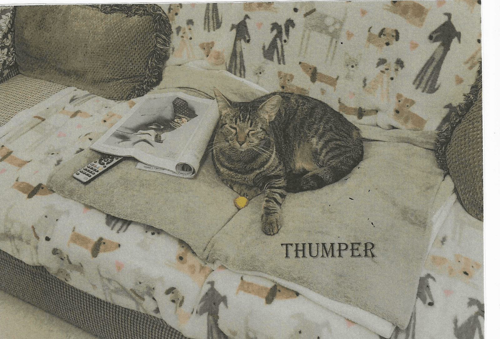 Thumper