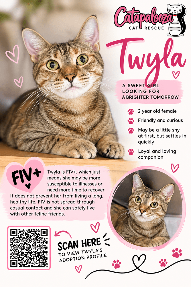 Twyla (Miso)