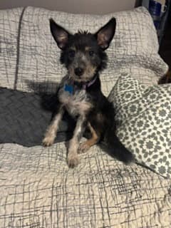 Ella