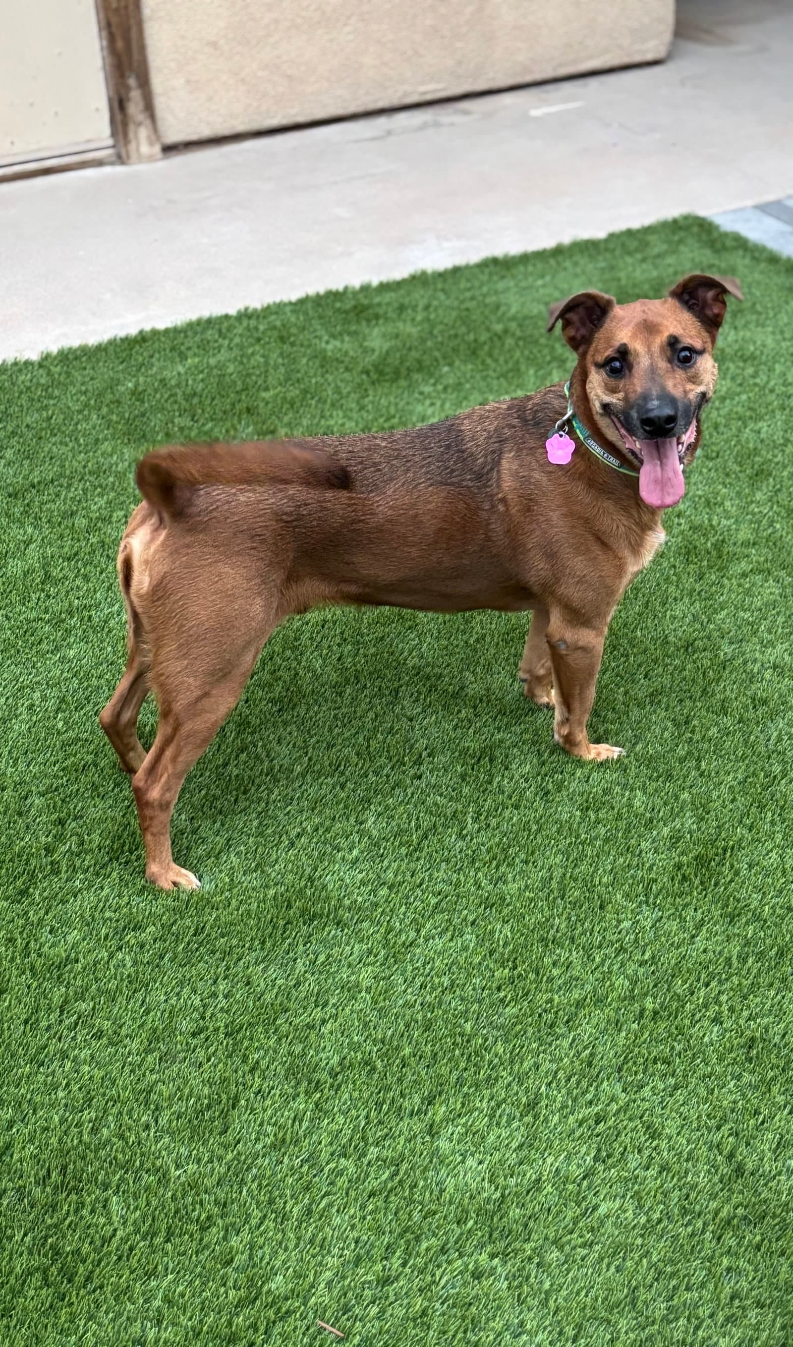 Max
