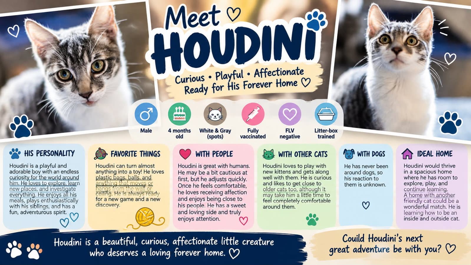 Houdini