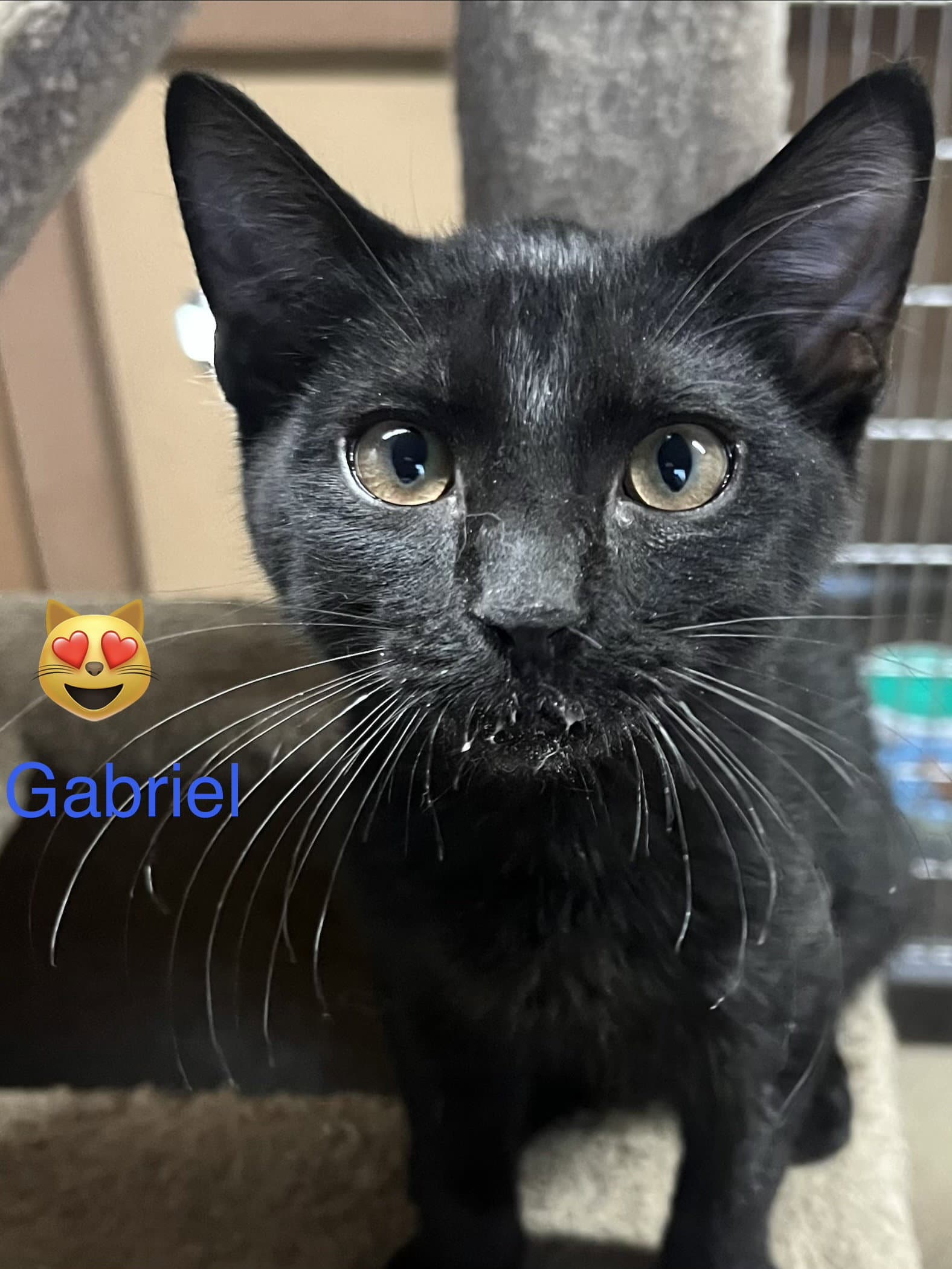 Gabriel