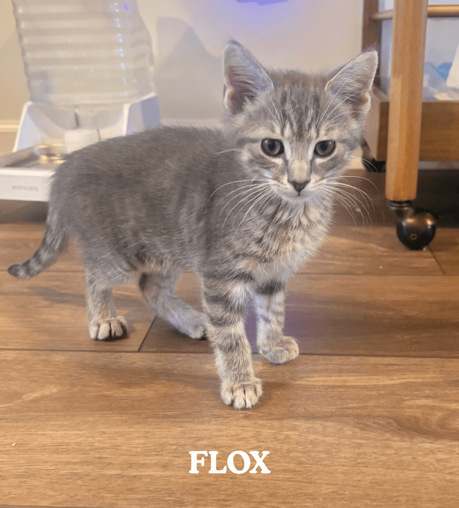 Flox