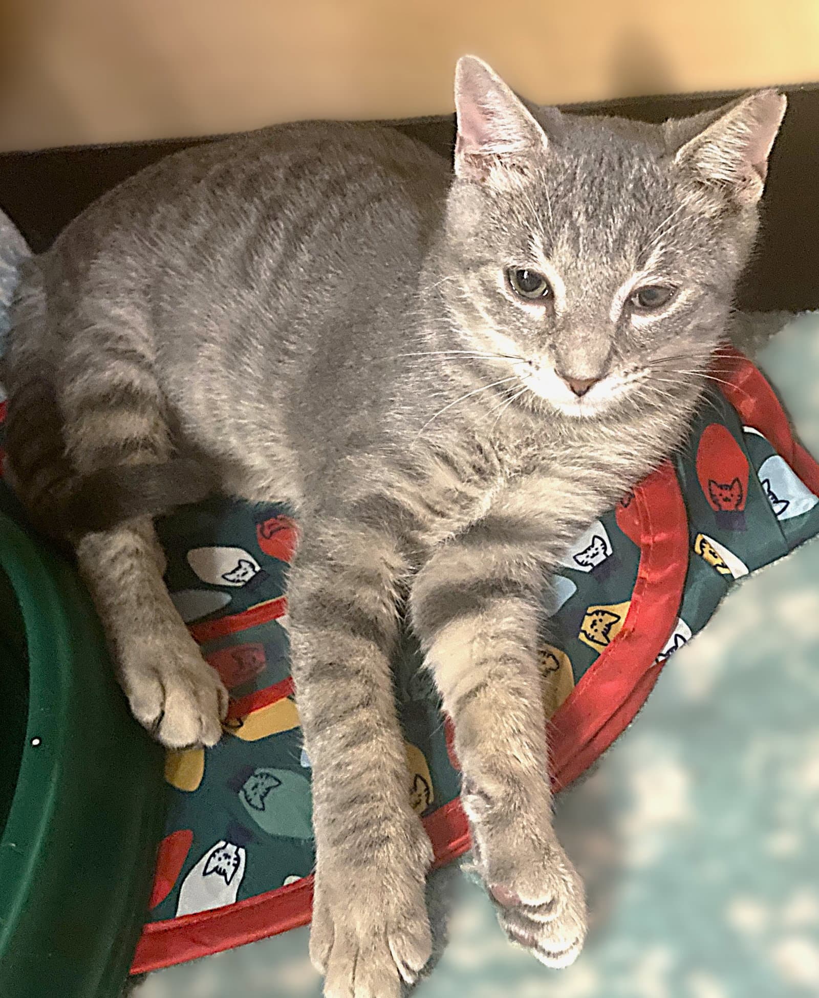 Fernando