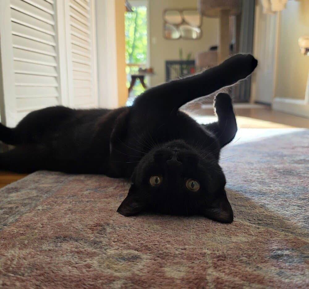 Luna