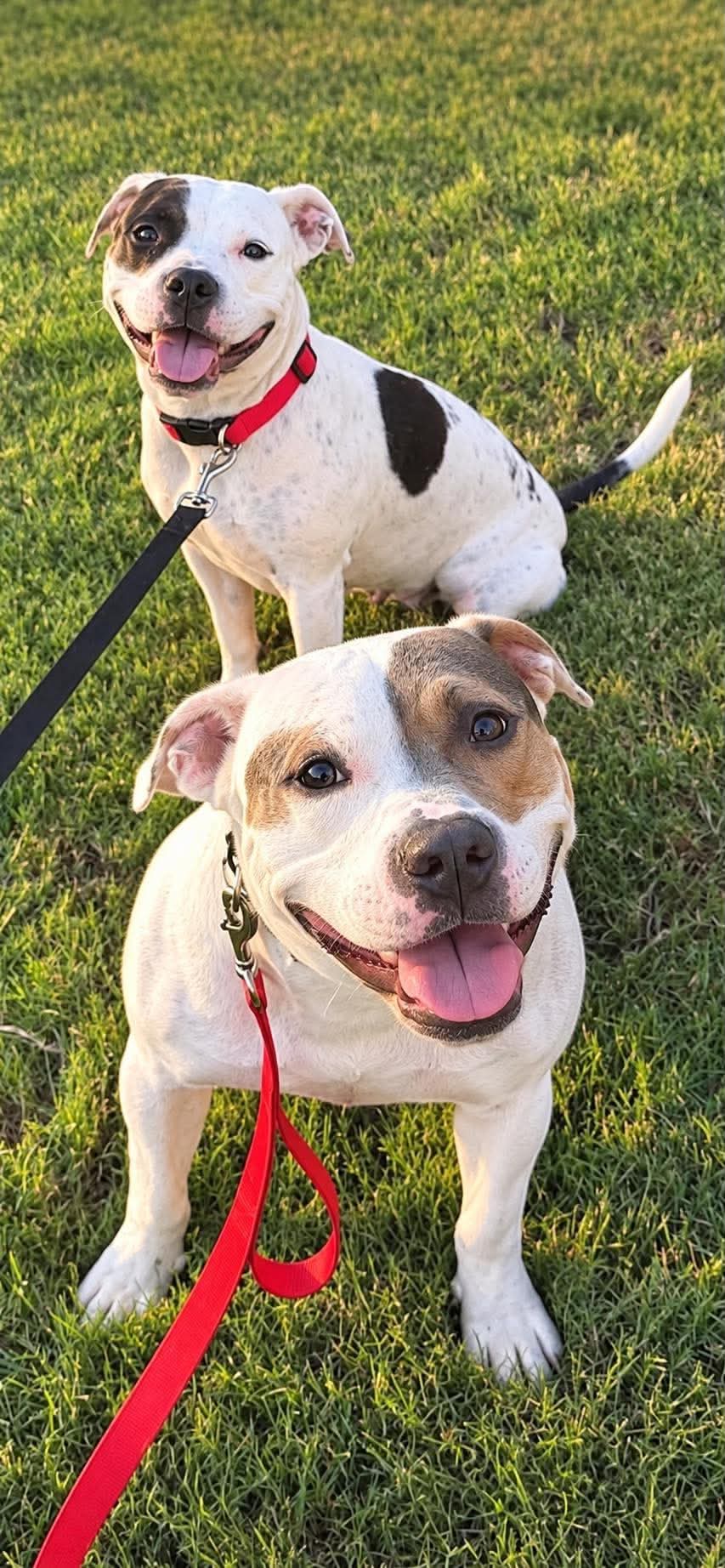 Sam & Izzy