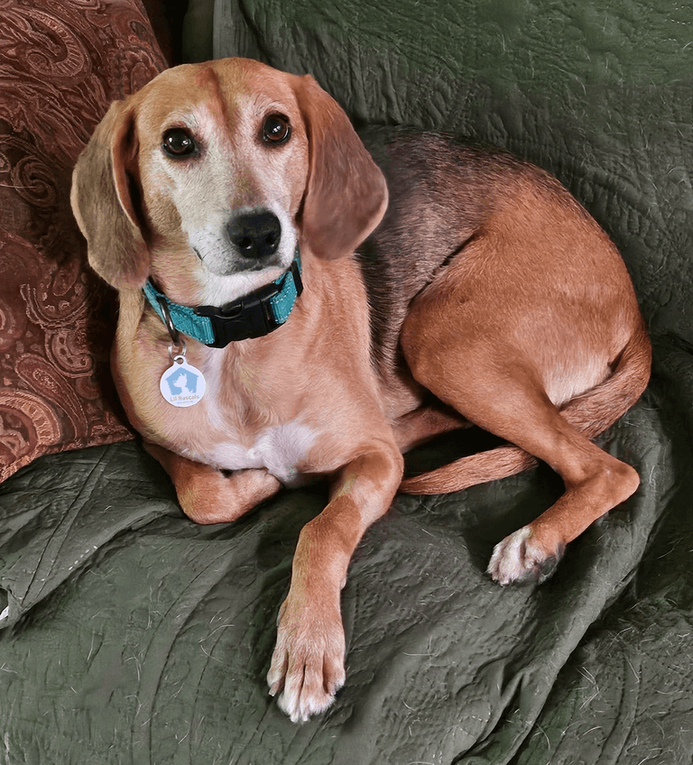 Jolene