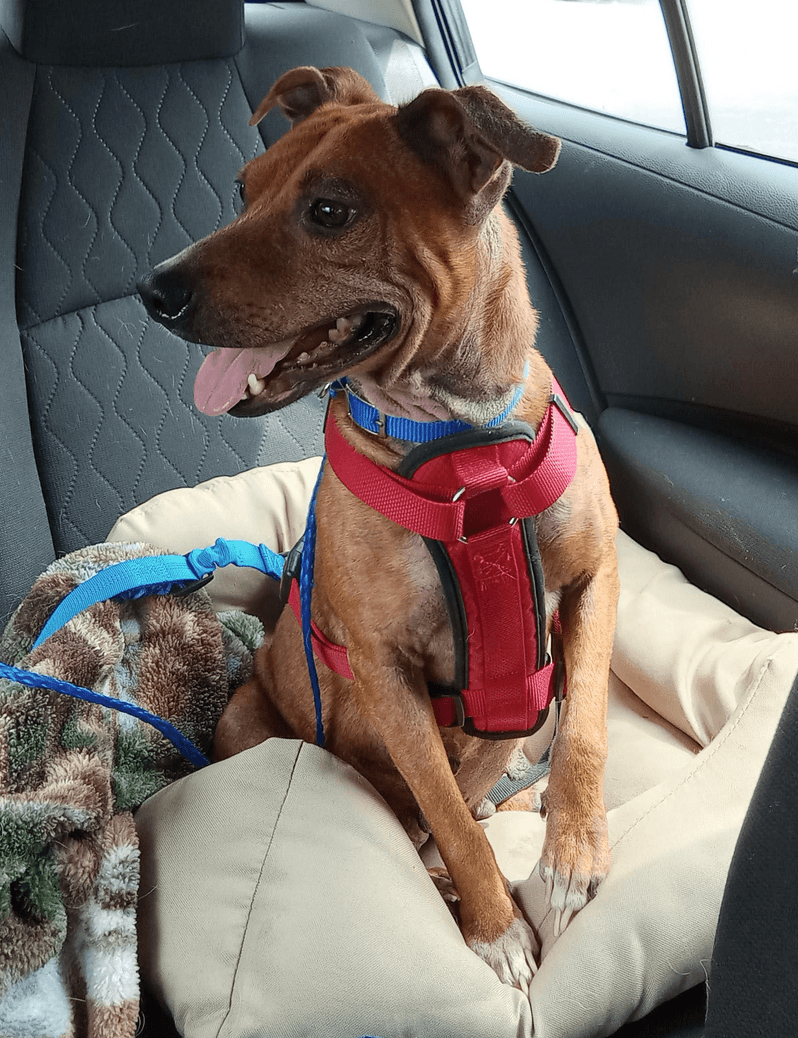 Ellie Mae