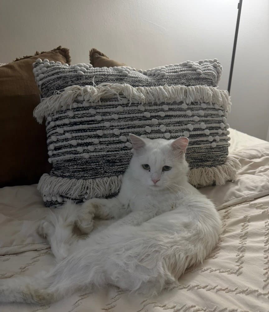 Casper