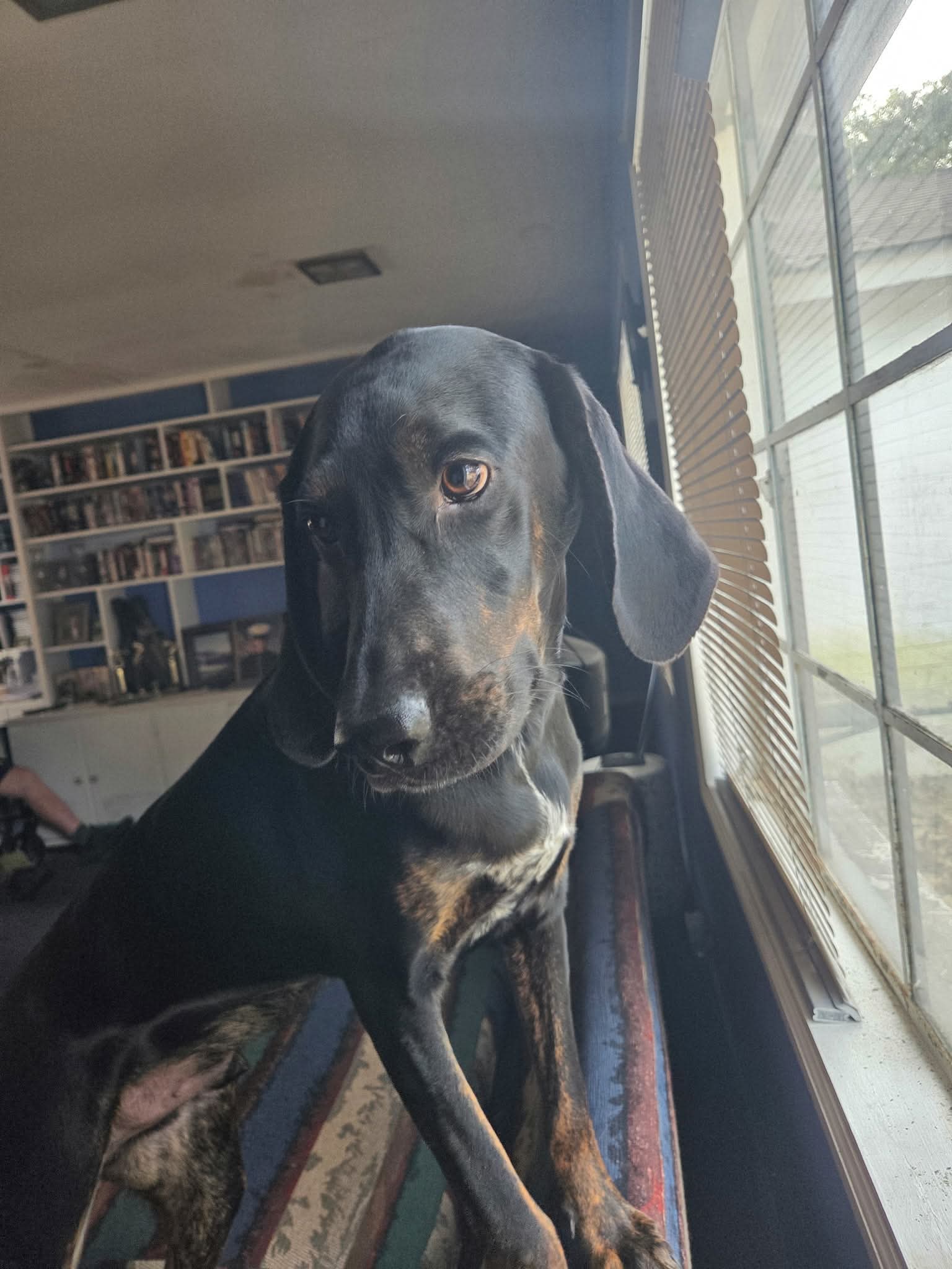 Duke