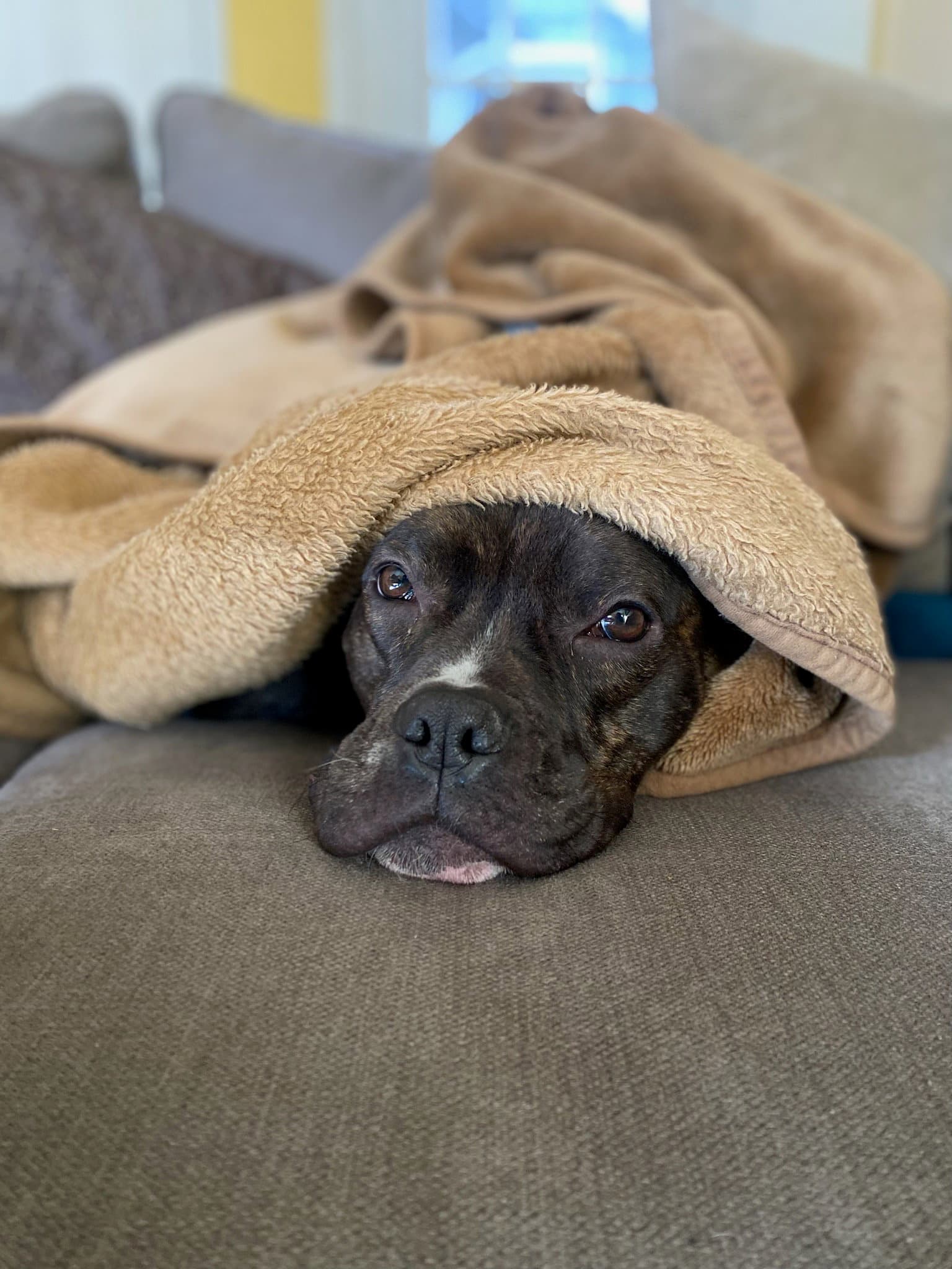 Ricardo (Courtesy Post)