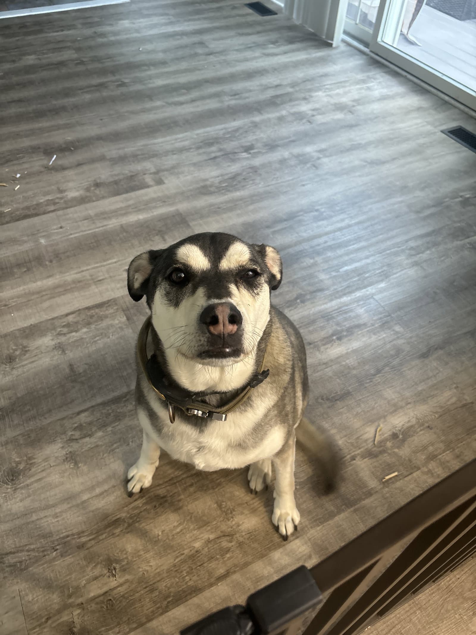 Maverick (Courtesy Post)