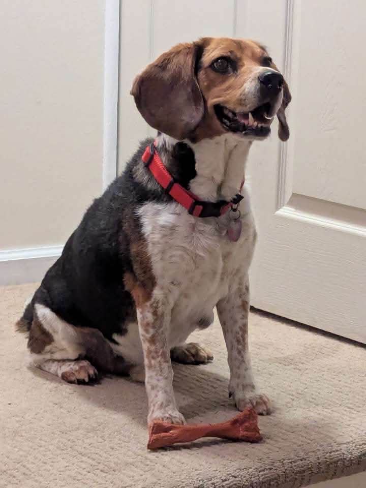 Benny