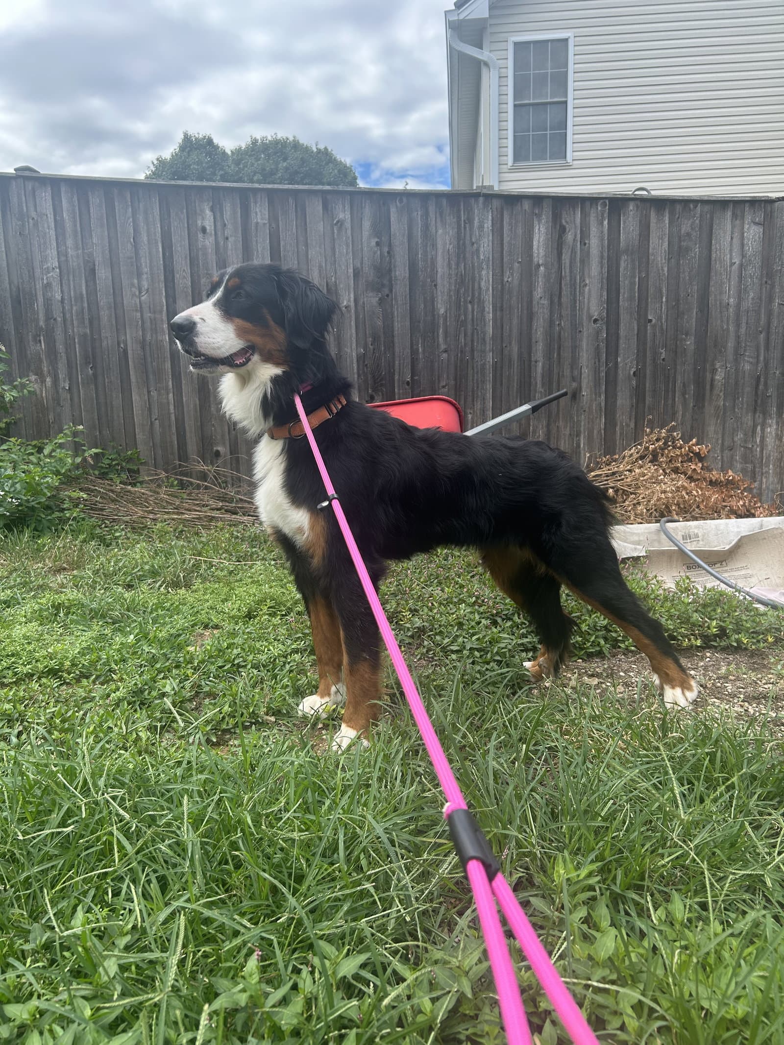 Lilah