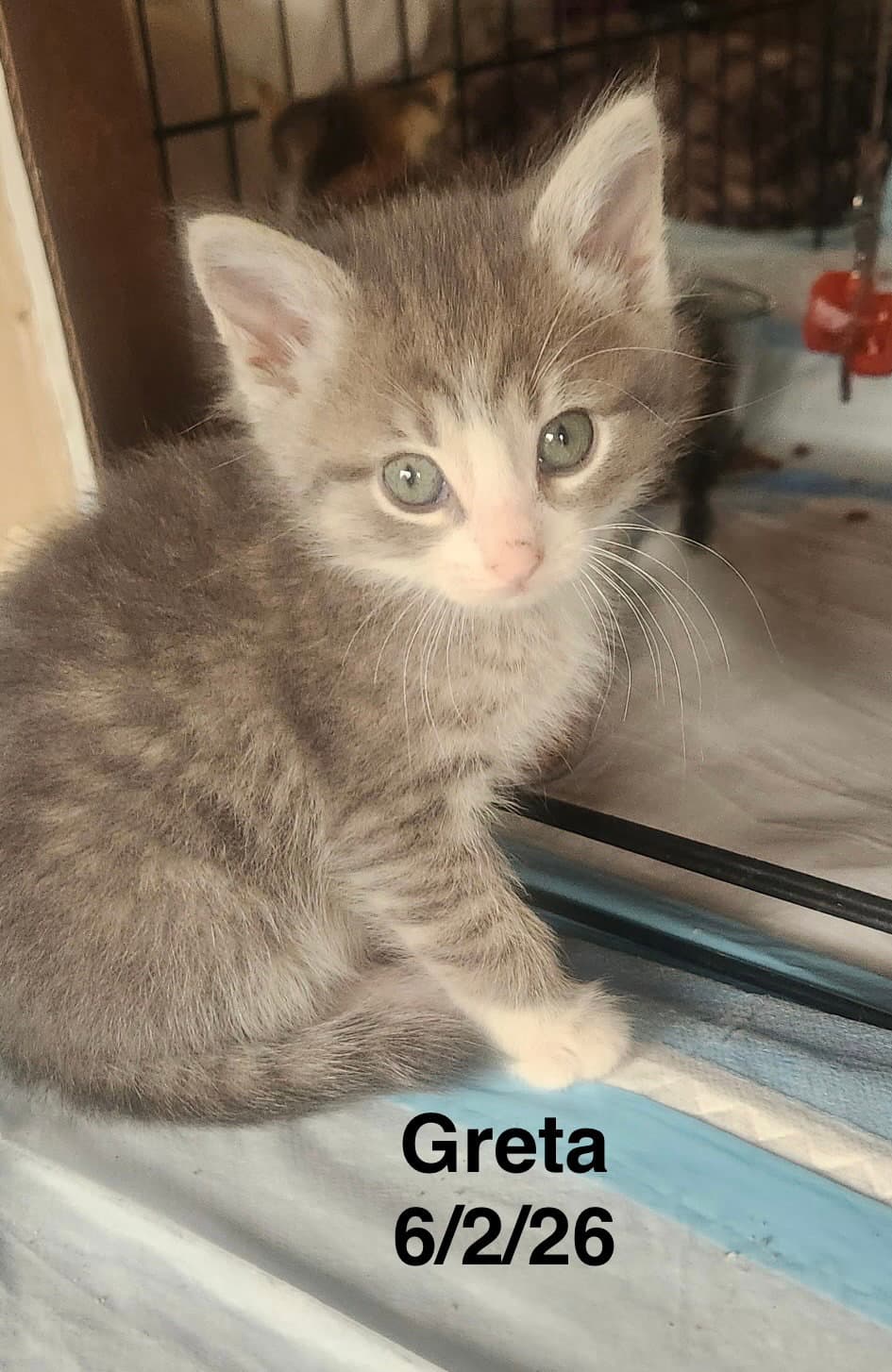 Greta