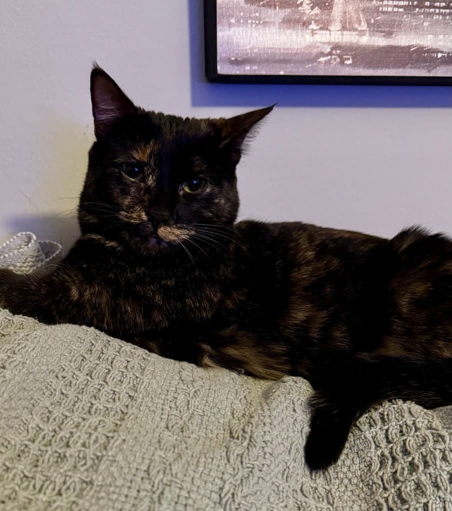 Amelia