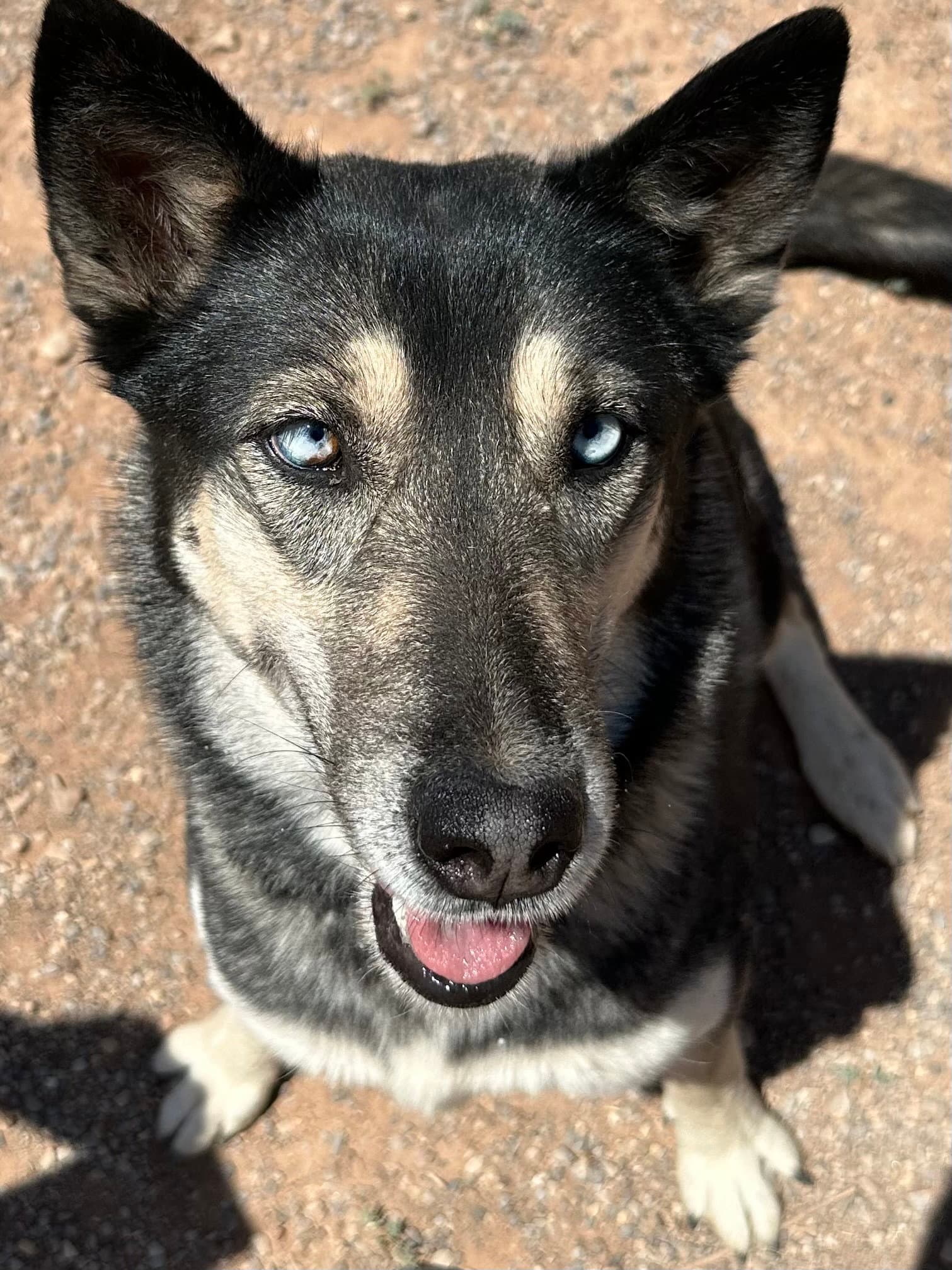 Shadow