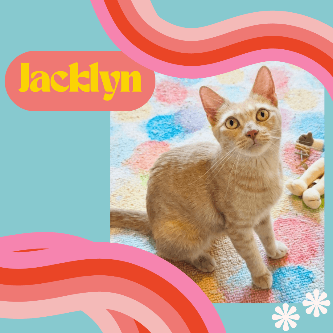 Jacklyn