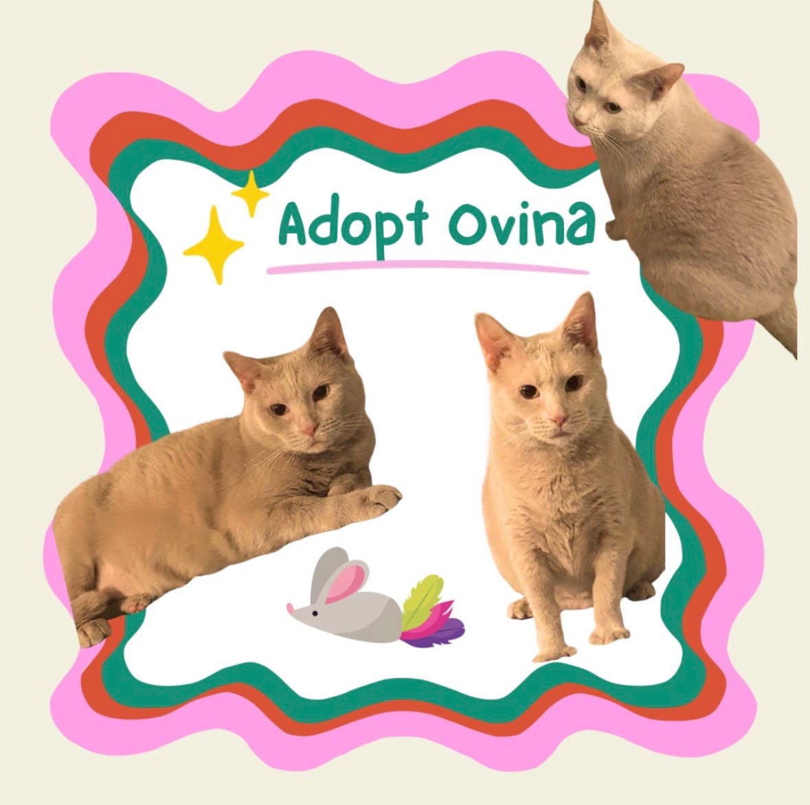 Olvina
