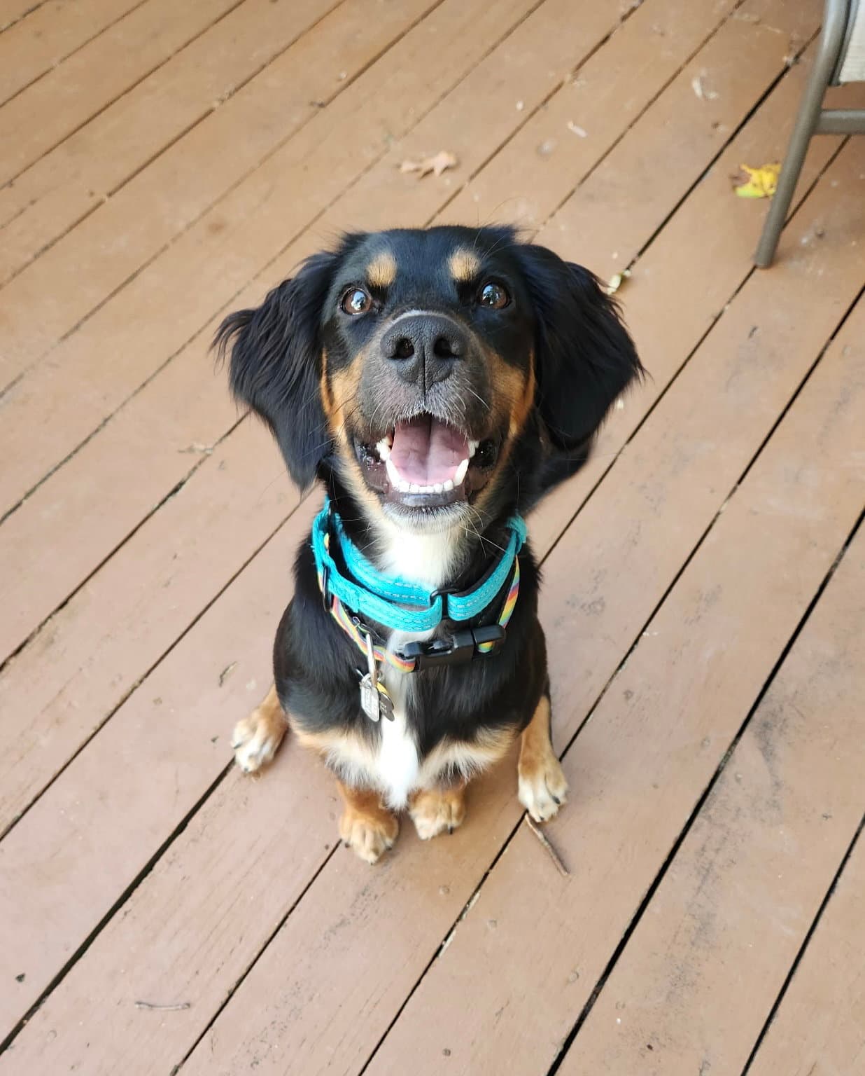 Maggie